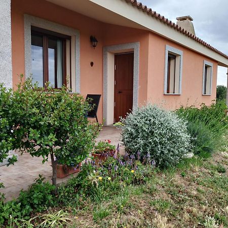 Agriturismo Gli Olivastri -Appartamento Bel Vedere Con Piscina ,Solarium E Vista Mare,Climatizzatore ,Wifi Aglientu Exterior foto