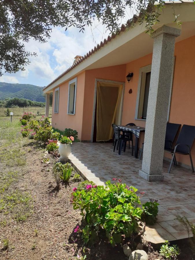 Agriturismo Gli Olivastri -Appartamento Bel Vedere Con Piscina ,Solarium E Vista Mare,Climatizzatore ,Wifi Aglientu Exterior foto