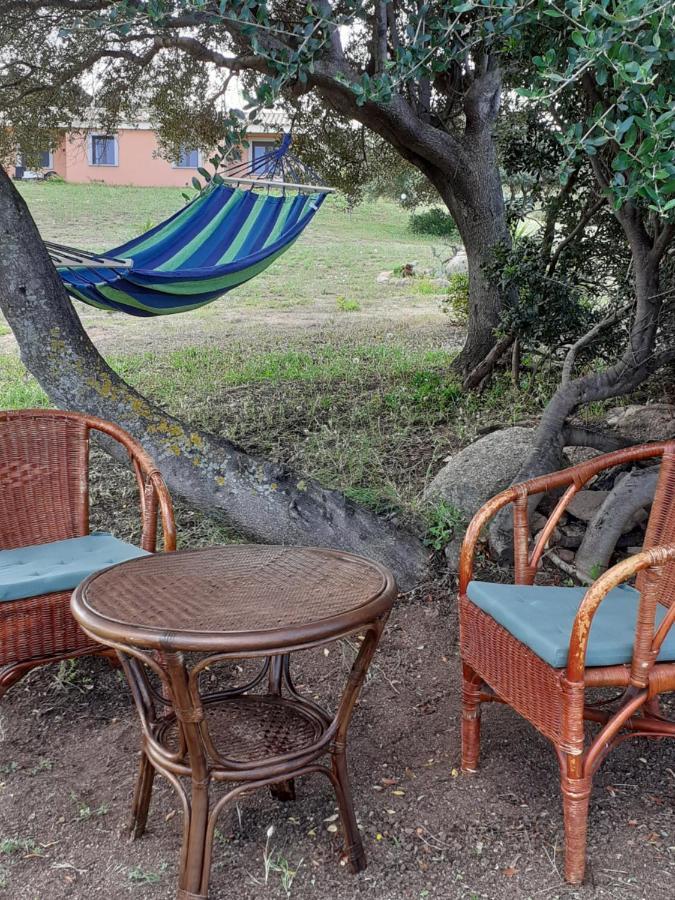 Agriturismo Gli Olivastri -Appartamento Bel Vedere Con Piscina ,Solarium E Vista Mare,Climatizzatore ,Wifi Aglientu Exterior foto