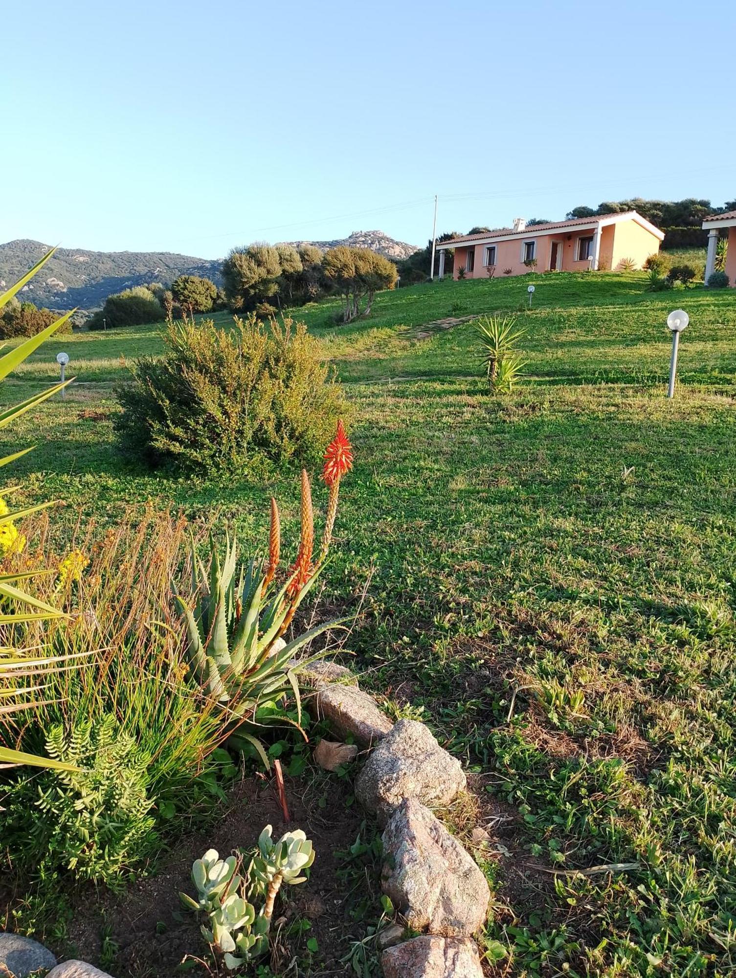 Agriturismo Gli Olivastri -Appartamento Bel Vedere Con Piscina ,Solarium E Vista Mare,Climatizzatore ,Wifi Aglientu Exterior foto